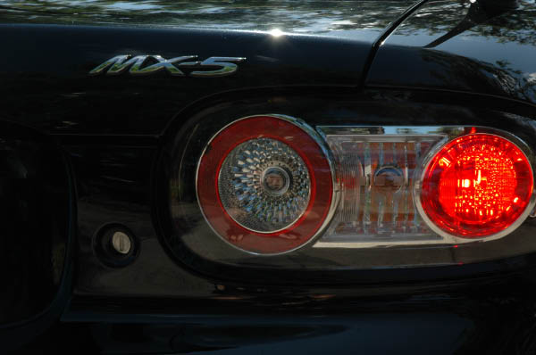 DSC_0799