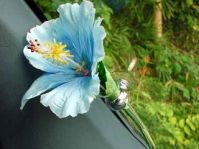 flower.jpg (8566 bytes)