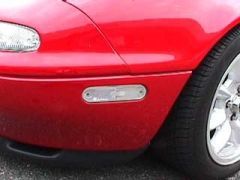 rsp_sidemark.jpg (8513 bytes)