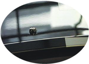 stainlessjets.jpg (9525 bytes)