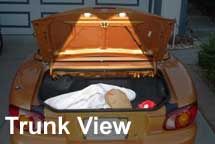 trunkview.jpg (7614 bytes)